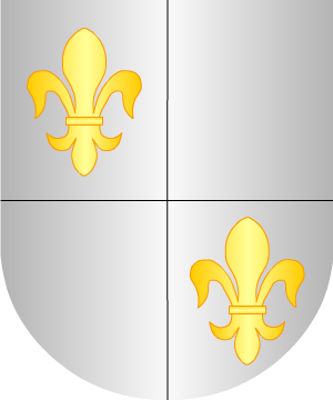 ESCUDO SIGUIENTE