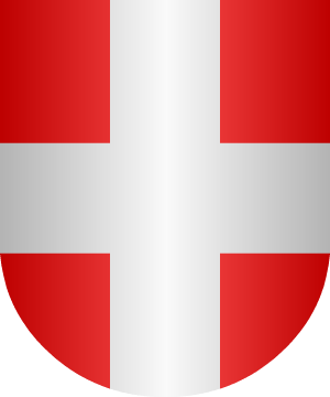 ESCUDO SIGUIENTE