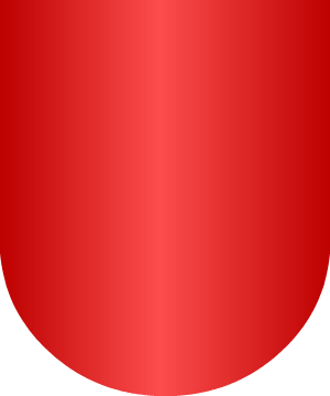 ESCUDO PRECEDENTE