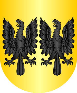 ESCUDO SIGUIENTE