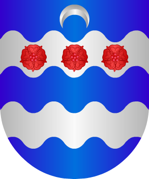 ESCUDO SIGUIENTE