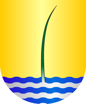 ESCUDO ALEATORIO