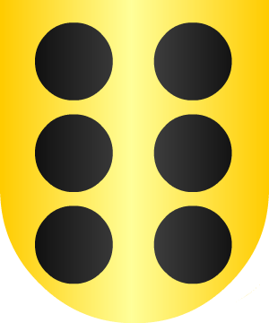 ESCUDO ALEATORIO