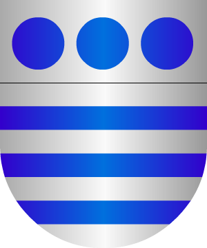 ESCUDO ALEATORIO
