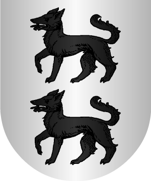 ESCUDO SIGUIENTE
