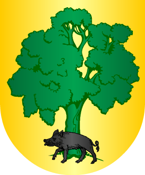 ESCUDO ALEATORIO