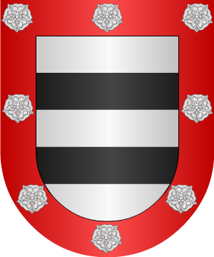 ESCUDO SIGUIENTE