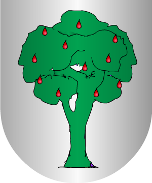 ESCUDO SIGUIENTE