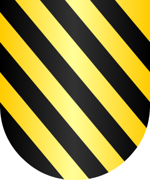 ESCUDO SIGUIENTE