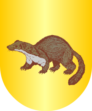 ESCUDO ALEATORIO