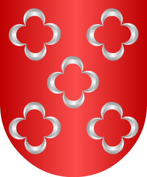 ESCUDO ALEATORIO