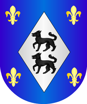 ESCUDO SIGUIENTE
