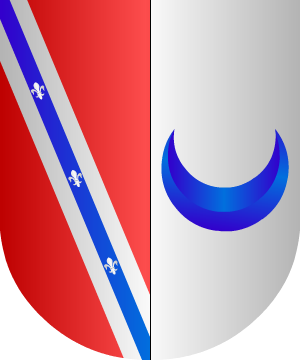 ESCUDO SIGUIENTE