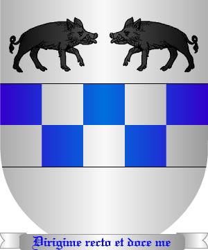 ESCUDO PRECEDENTE