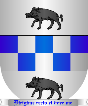 ESCUDO ALEATORIO
