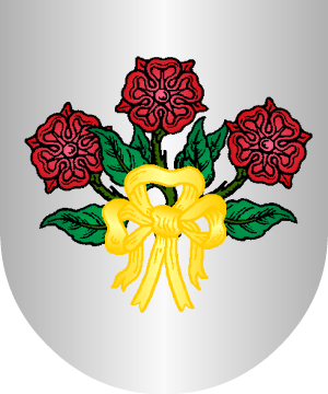 ESCUDO ALEATORIO