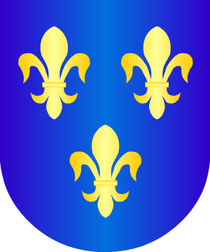 ESCUDO PRECEDENTE