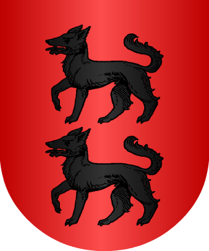 ESCUDO ALEATORIO