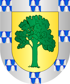 ESCUDO SIGUIENTE