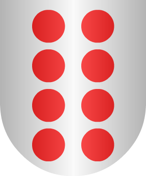 ESCUDO SIGUIENTE