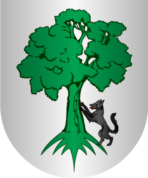 ESCUDO SIGUIENTE