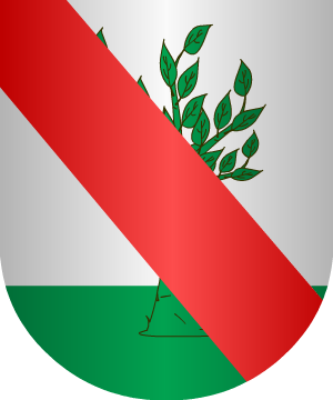 ESCUDO SIGUIENTE