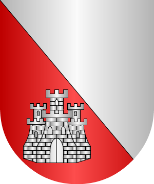 ESCUDO SIGUIENTE