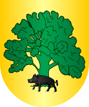 ESCUDO SIGUIENTE