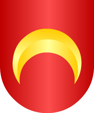 ESCUDO ALEATORIO