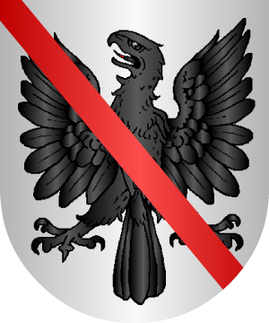 ESCUDO ALEATORIO