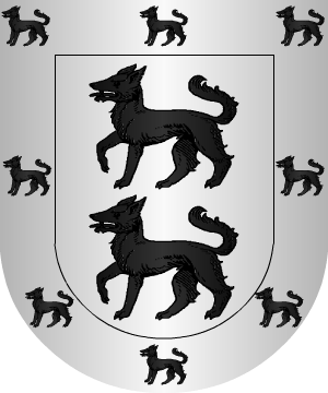 ESCUDO ALEATORIO