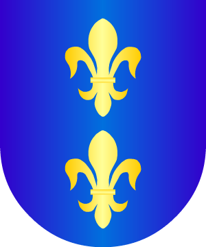ESCUDO ALEATORIO
