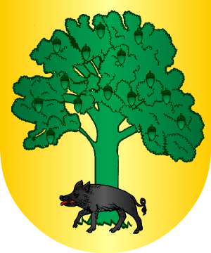 ESCUDO PRECEDENTE