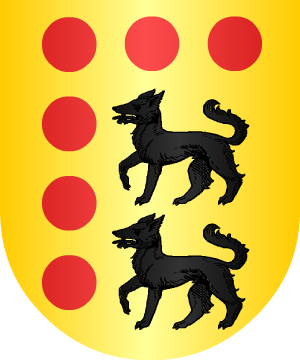 ESCUDO SIGUIENTE