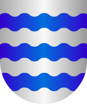 ESCUDO SIGUIENTE