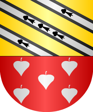 ESCUDO ALEATORIO