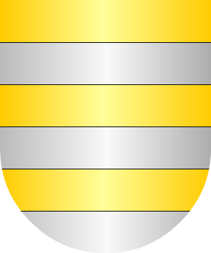 ESCUDO SIGUIENTE