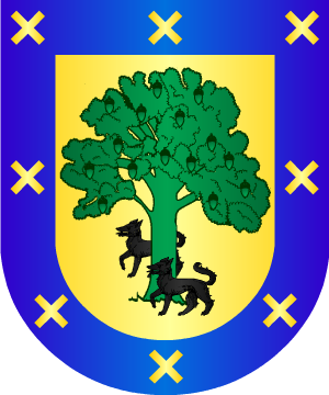 ESCUDO ALEATORIO