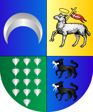 ESCUDO SIGUIENTE