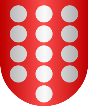 ESCUDO ALEATORIO