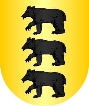 ESCUDO SIGUIENTE