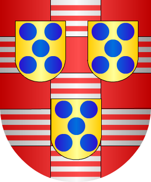 ESCUDO SIGUIENTE