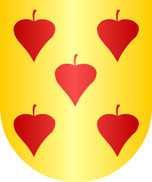 ESCUDO SIGUIENTE