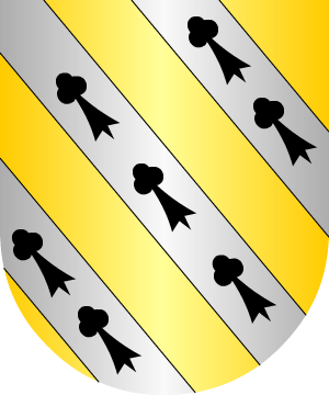 ESCUDO SIGUIENTE