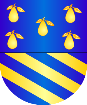 ESCUDO SIGUIENTE