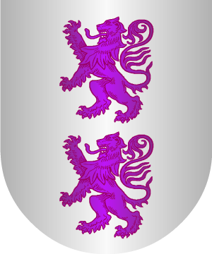 ESCUDO ALEATORIO