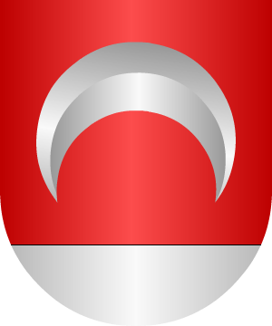 ESCUDO ALEATORIO