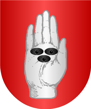 ESCUDO SIGUIENTE