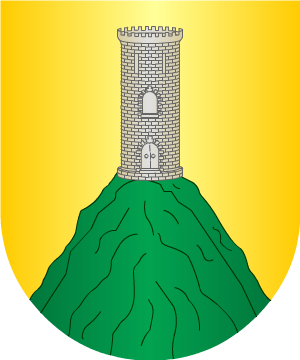 ESCUDO PRECEDENTE