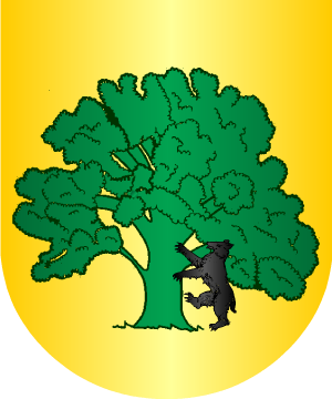 ESCUDO SIGUIENTE